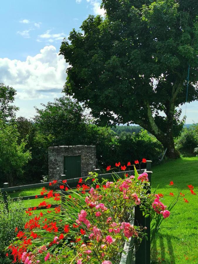 New Listing - Ladybird Cottage - Donegal - Wild Atlantic Way Donegal Town Exterior foto